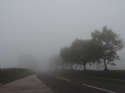3rd Oct 2013 - Season of mists...