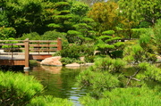 5th Oct 2013 - Japanese Gardens