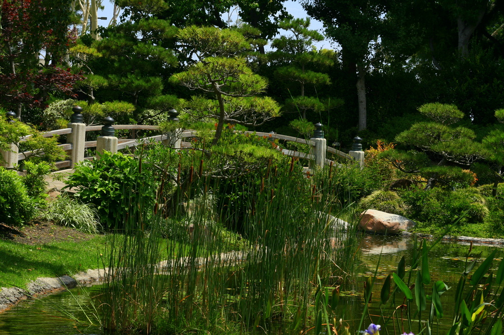 Japanese Gardens by kerristephens