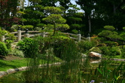 8th Oct 2013 - Japanese Gardens