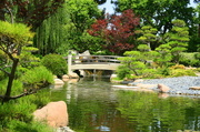 10th Oct 2013 - Japanese Gardens