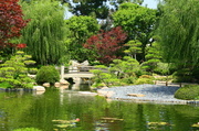 12th Oct 2013 - Japanese Gardens