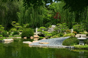 11th Oct 2013 - Japanese Gardens