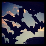 5th Oct 2013 - Bats