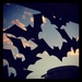 Bats by lisaconrad