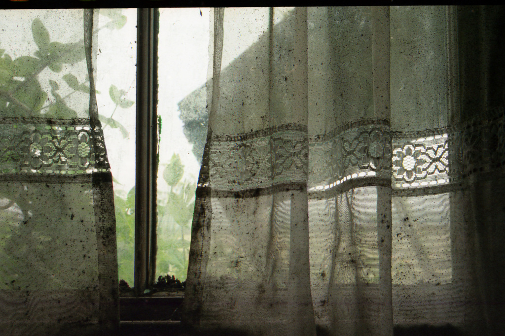 lace window by ingrid2101