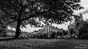5th Oct 2013 - Day 278 - Park Life