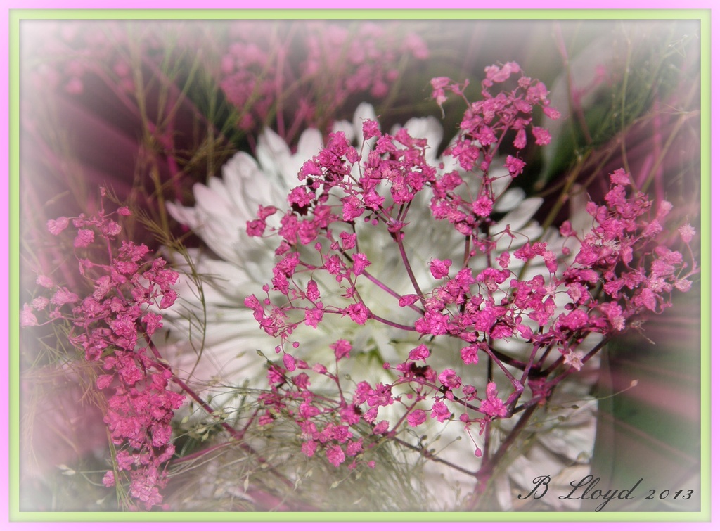 Shadowed  by beryl