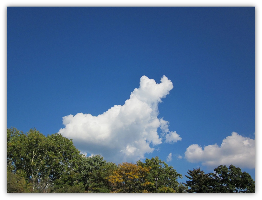 Elephant in the Sky by allie912