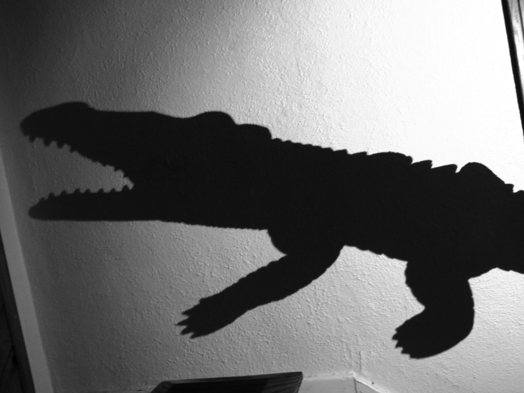 Croctober: Croc Noir by juliedduncan