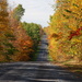 Country Road, take me home by farmreporter