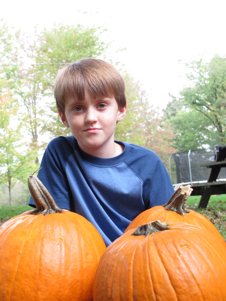 Fall Pumpkins by julie