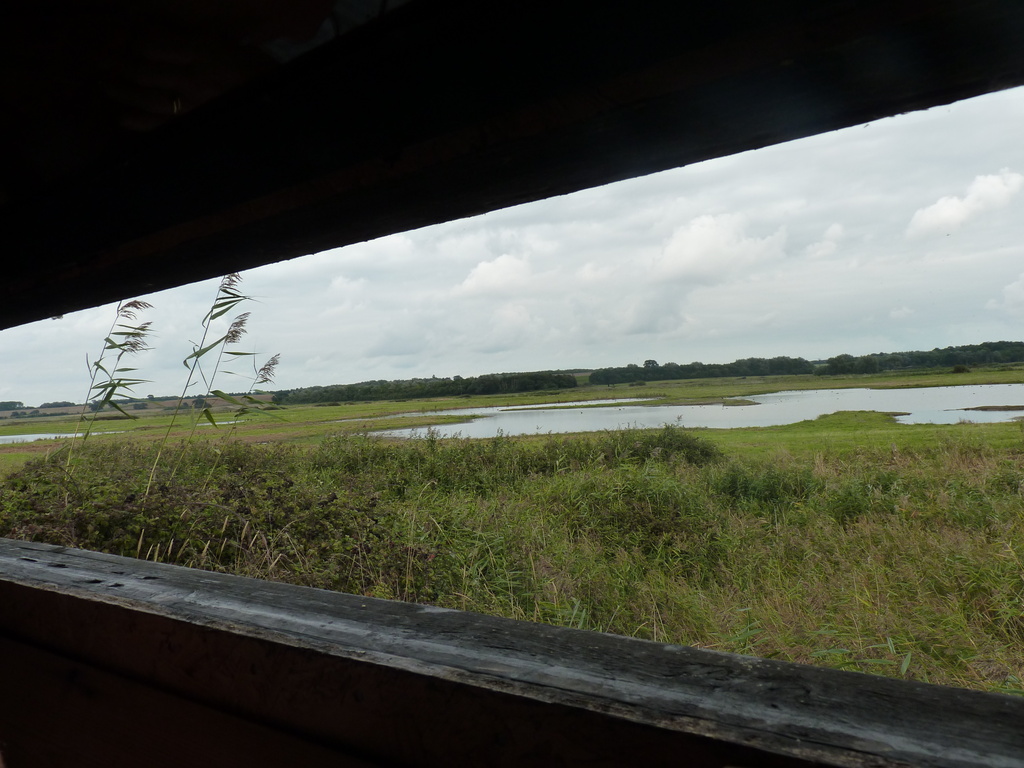 Trimley Marshes by lellie