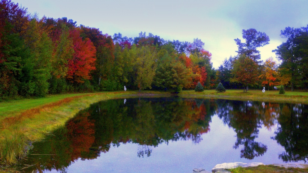 Fall Reflections! by homeschoolmom