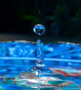 8th Oct 2013 - water drop
