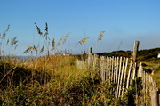 3rd Oct 2013 - Sand Fence