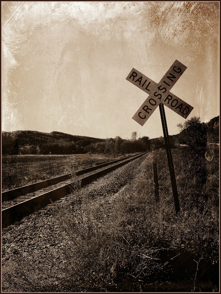 Railroad Crossing by olivetreeann