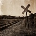 Railroad Crossing by olivetreeann