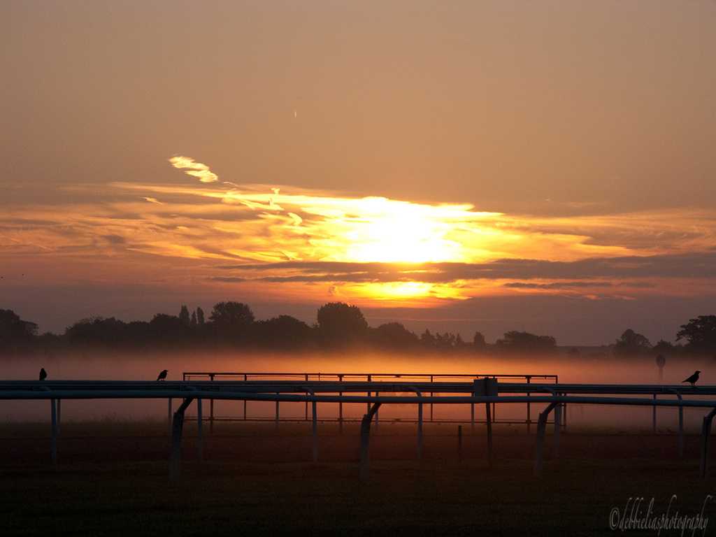 8.10.13 Sunrise at the Races by stoat