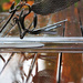 Cutlery Bird in the rain by shepherdmanswife