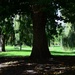 A walk in the park - 09-10 by barrowlane