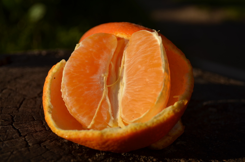 Unedited Orange by salza