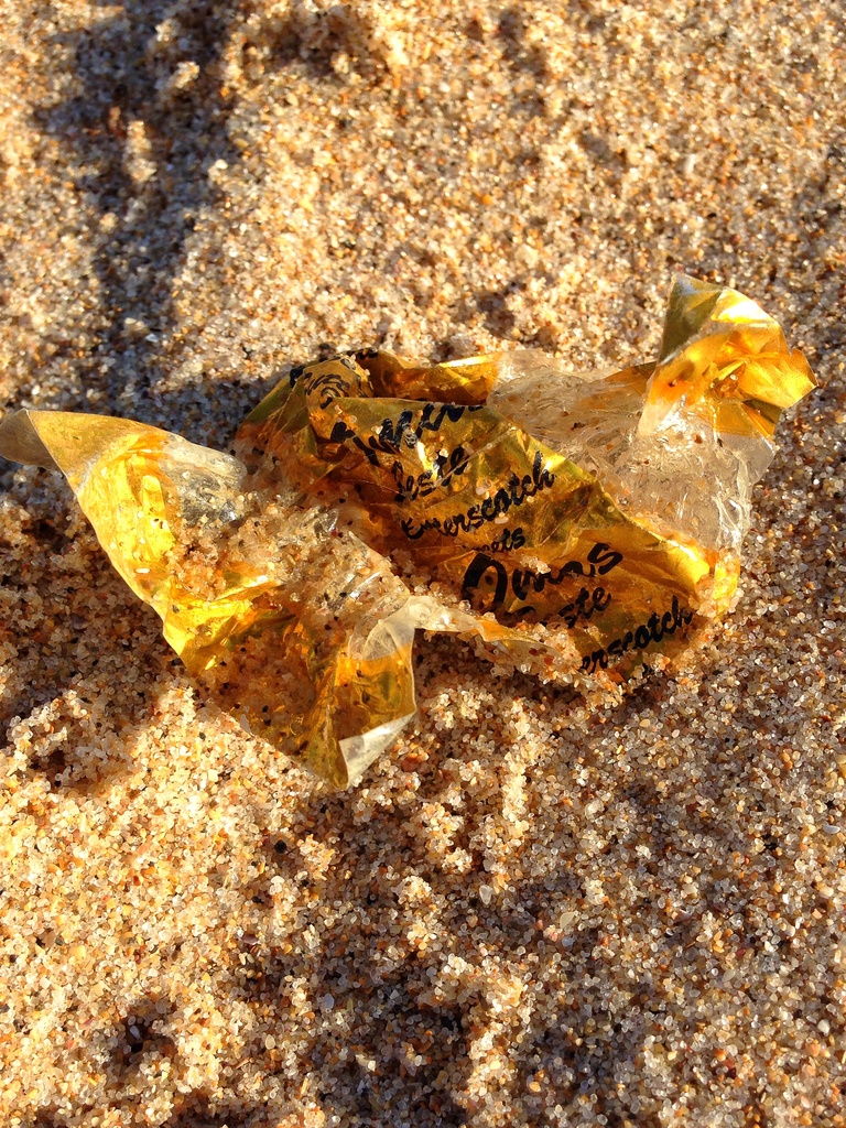 I found gold on the beach by cocobella