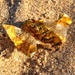 I found gold on the beach by cocobella