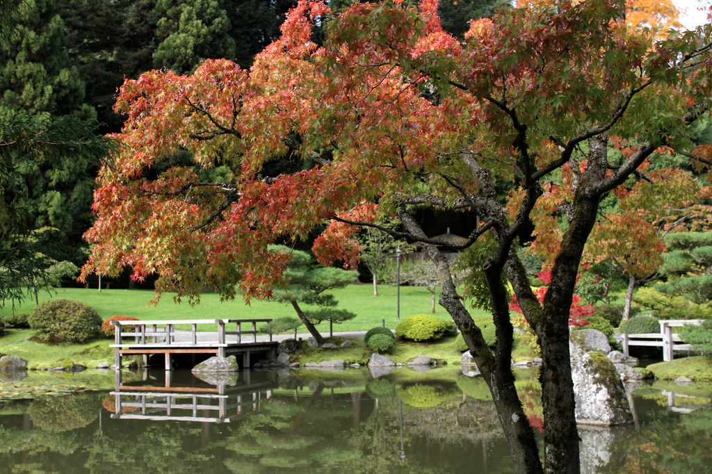 Japanese Garden by whiteswan