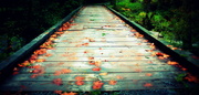 3rd Oct 2013 - A Bridge to Somewhere