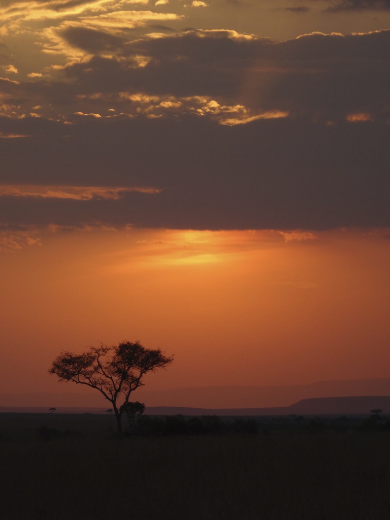Classic Africa-sunset shot by padlock