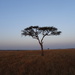 Classic Africa-sunrise by padlock