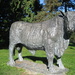 The Builth Wells Bull by susiemc