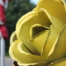 Yellow Rose of Texas? by jamibann