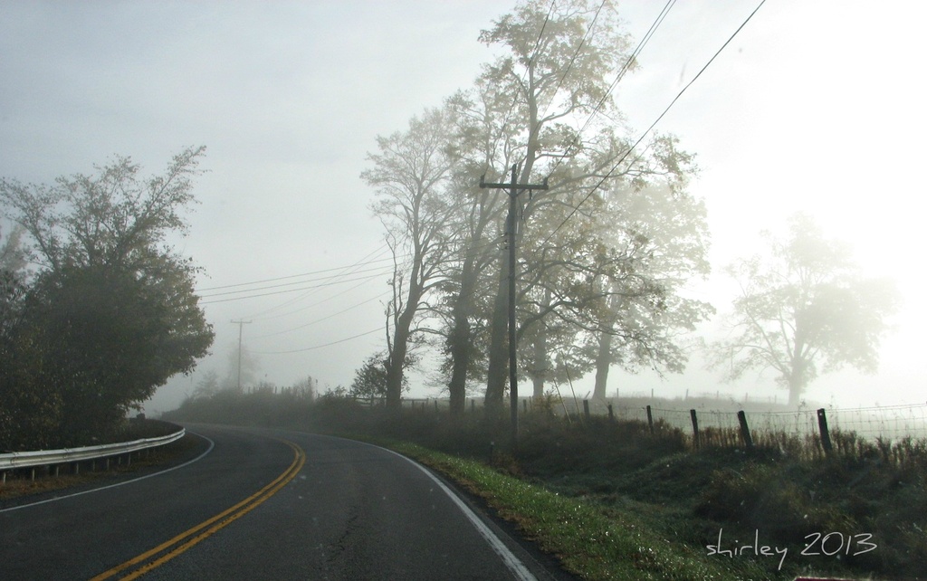 morning fog by mjmaven