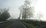 8th Oct 2013 - morning fog