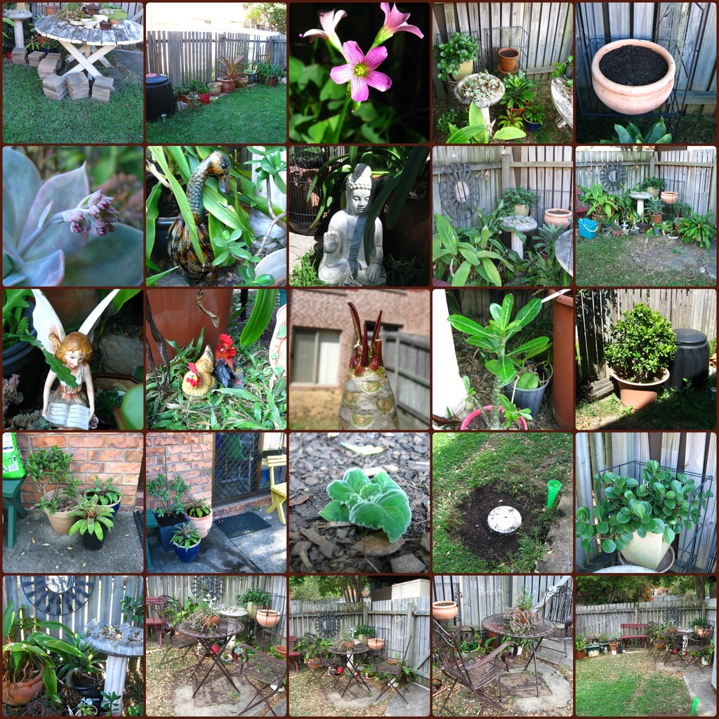 Two Months of My Garden by mozette