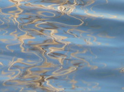 15th Oct 2014 - Ripples and Reflections