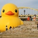Giant rubber ducky by mittens