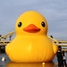 Giant rubber ducky 2 by mittens