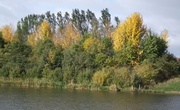 11th Oct 2013 - Hints of Autumn, Rawcliffe Lake, York