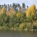 Hints of Autumn, Rawcliffe Lake, York by fishers