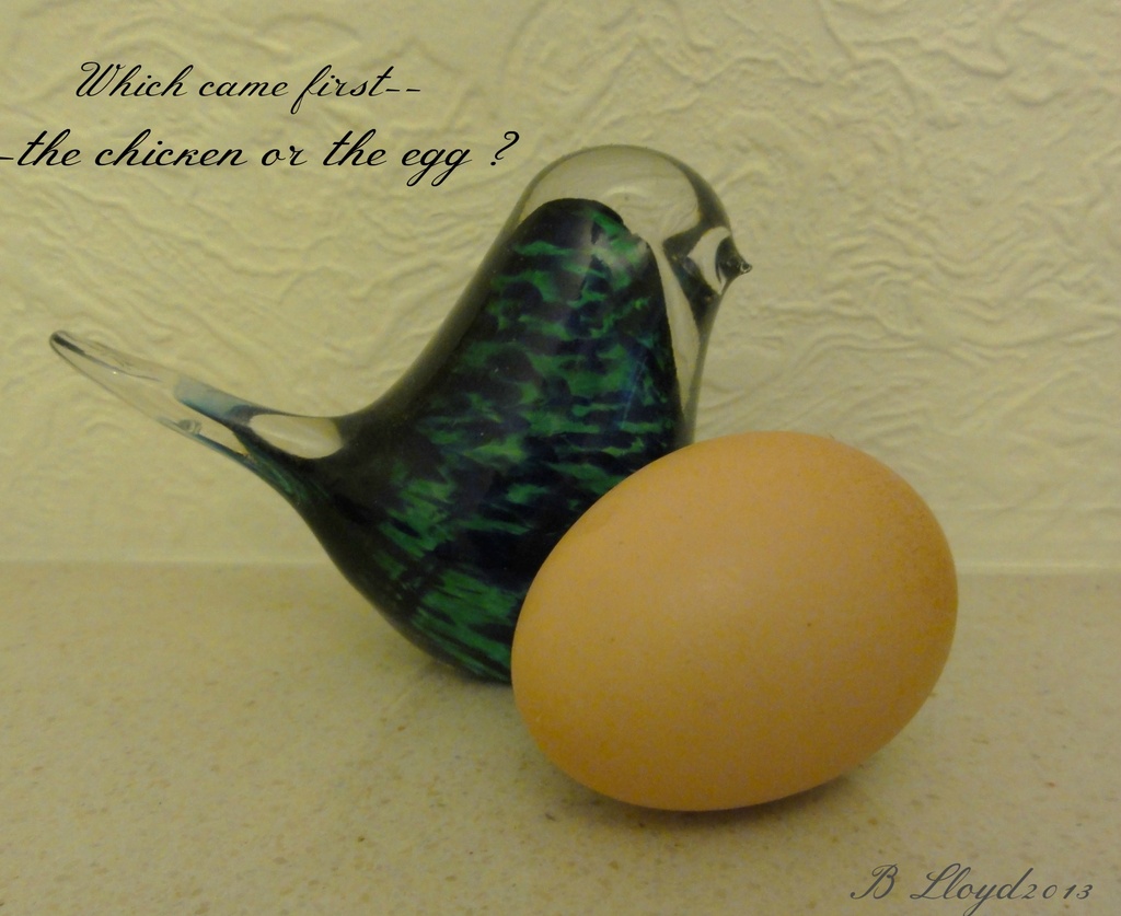 Which came first -- the chicken or the egg ?? by beryl