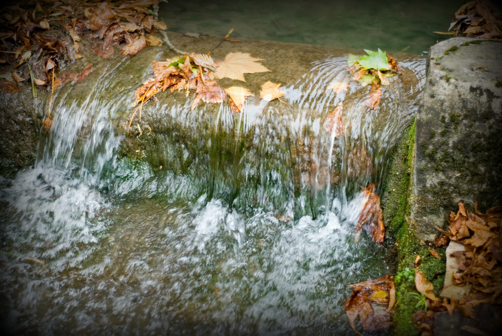 Autumn Stream by tracybeautychick