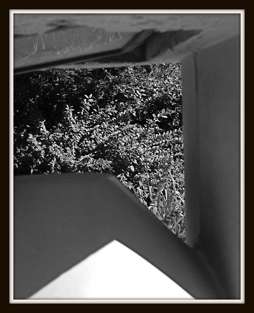 Composition 1 in B&W by mcsiegle