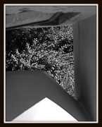 10th Oct 2013 - Composition 1 in B&W