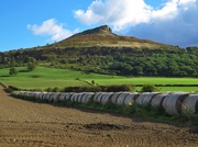 11th Oct 2013 - Roseberry Topping in October