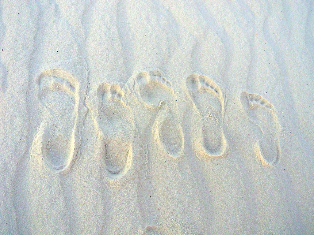 Leave nothing but footprints...take nothing but pictures. by homeschoolmom