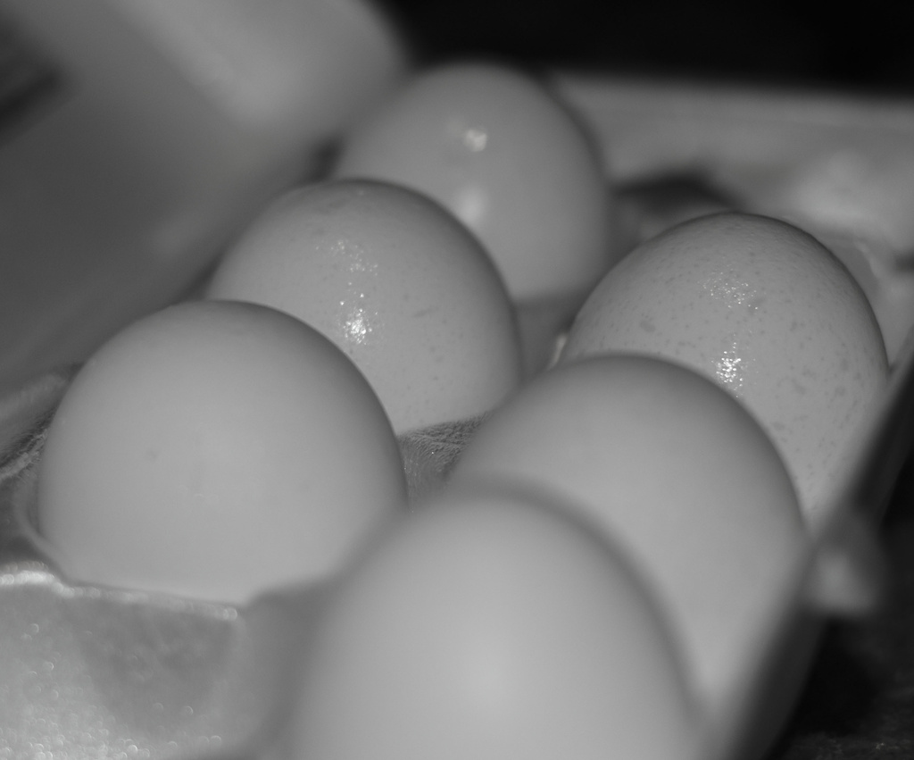 Egg-sausted... by dakotakid35