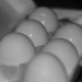 Egg-sausted... by dakotakid35